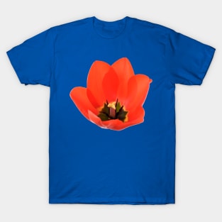 Red tulip T-Shirt